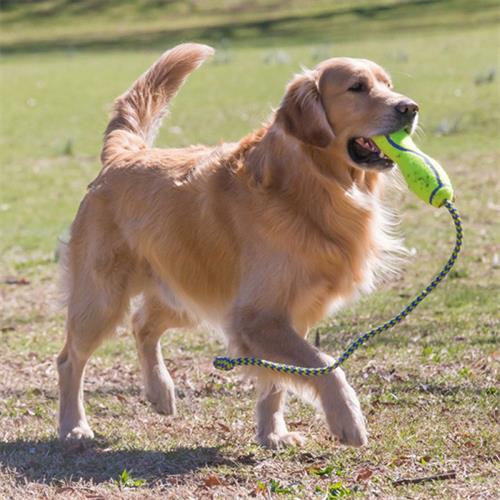 Kong Air Dog Fetch Stick İpli Sesli Tenis Topu Köpek Oyuncağı
