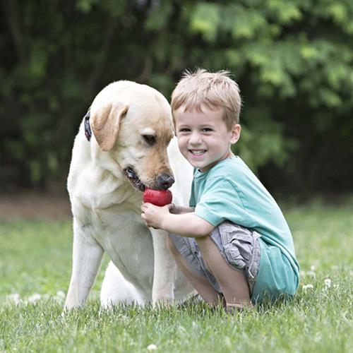 Kong Classic Ödül Hazneli Köpek Oyuncağı