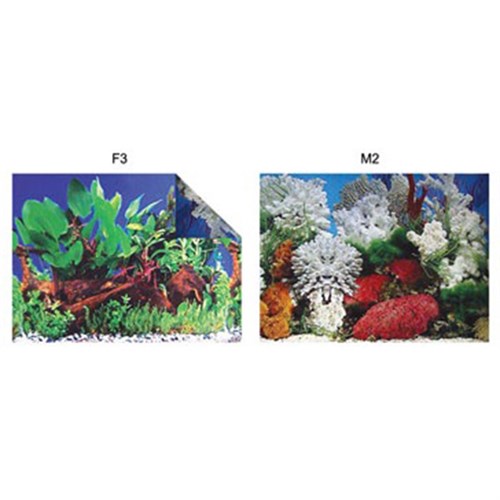 Kw Zone Mercan ve Bitki Görselli İki Yüzlü Akvaryum Arka Fonu