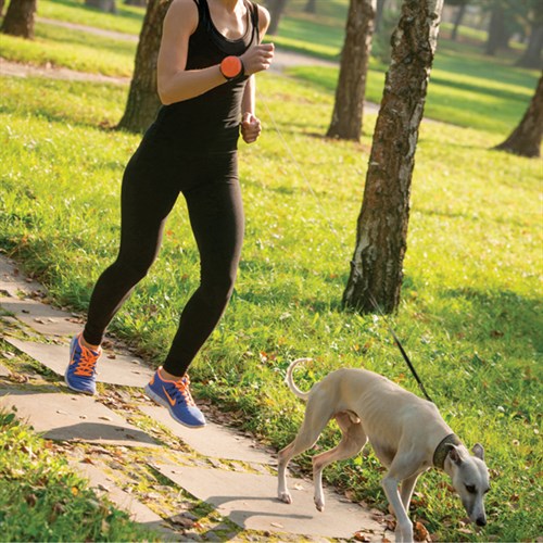 Lishinu Akıllı Köpek Gezdirme Tasması