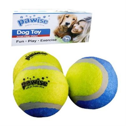 Pawise Karton Kutulu Tenis Topu Köpek Oyuncağı