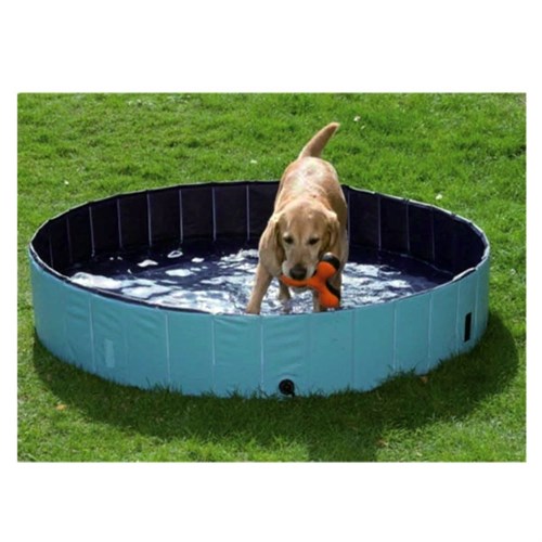 Pawise Köpek Yüzme Havuzu