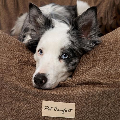 Pet Comfort Hotel Nidus Köpek Yatağı