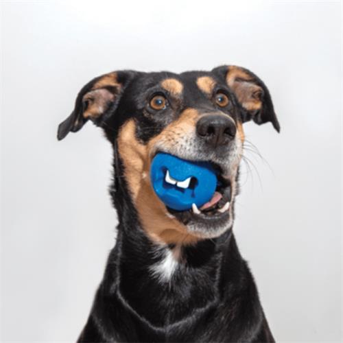 Rogz Toyz Fred Traktatiebal Çiğneme Topu Diş Bakım Köpek Oyuncağı