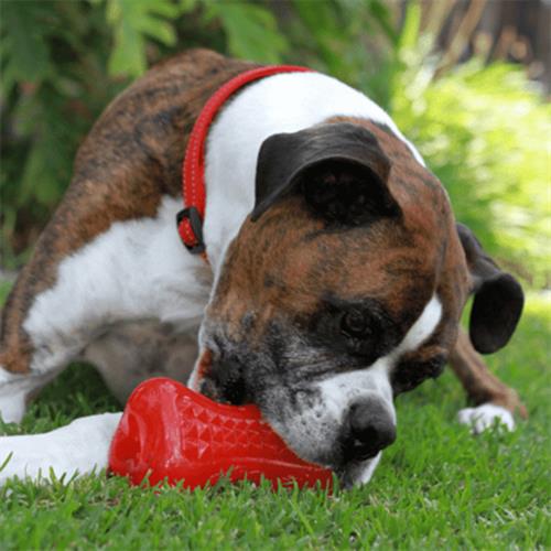 Rogz Toyz Yumz Treat Diş Bakım ve Çiğneme Plastik Köpek Oyuncağı Kırmızı