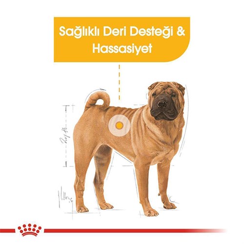 Royal Canin Adult Medium Dermacomfort Yetişkin Köpek Maması