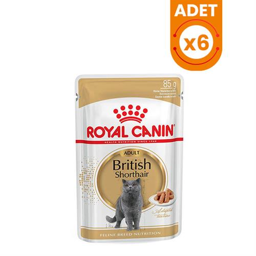 Royal Canin British Shorthair Adult Pouch Konserve Kedi Maması