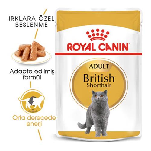 Royal Canin British Shorthair Adult Pouch Konserve Kedi Maması