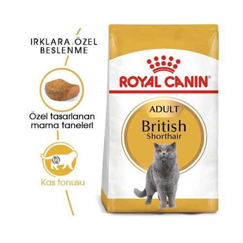 Royal Canin British Shorthair Adult Yetişkin Kedi Maması