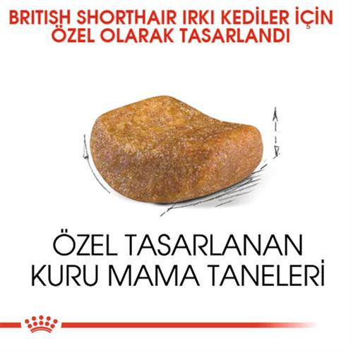 Royal Canin British Shorthair Adult Yetişkin Kedi Maması