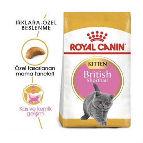 Royal Canin British Shorthair Kitten Yavru Kedi Maması