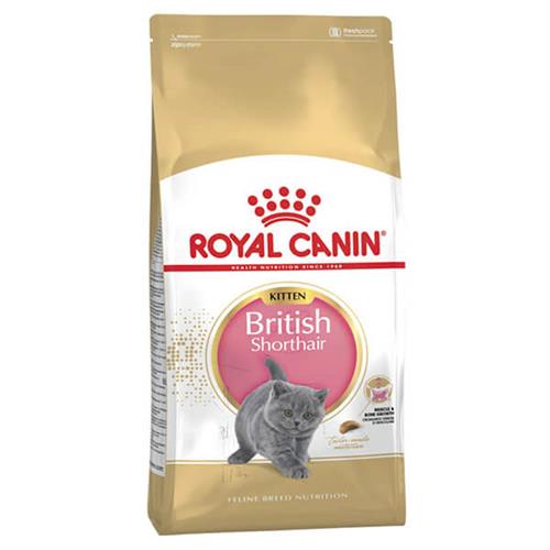 Royal Canin British Shorthair Kitten Yavru Kedi Maması