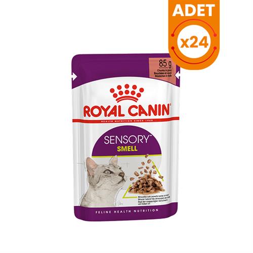 Royal Canin Gravy Sensory Smell Yetişkin Konserve Kedi Maması