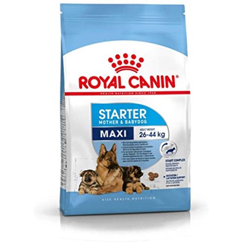 Royal Canin Maxi Starter Anne ve Yavru Köpek Maması