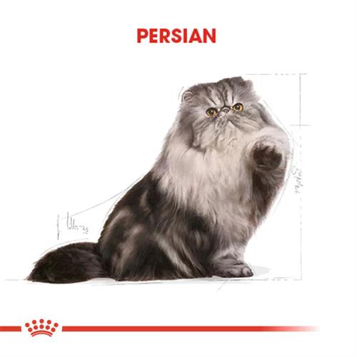 Royal Canin Persian Adult Yetişkin İran Kedisi Maması