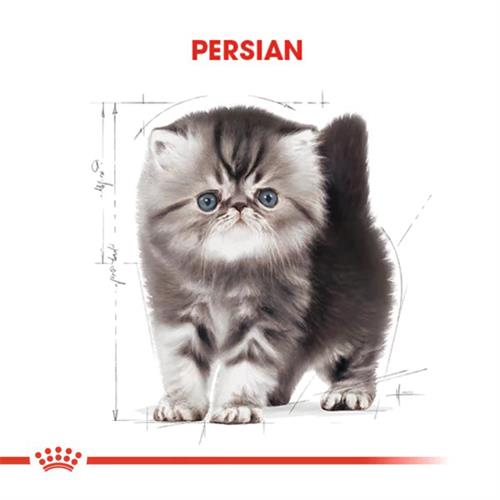 Royal Canin Persian Kitten Yavru İran Kedisi Maması