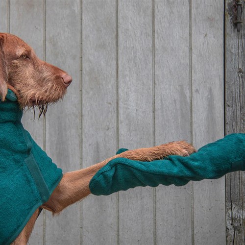 Ruff & Tumble Süper Emici Pamuklu Köpek Bornozu Zümrüt Yeşili DM