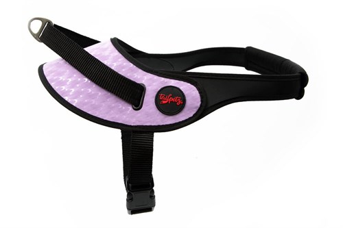 Tailpetz Norwegian Harness Köpek Göğüs Tasması