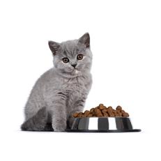 Brit Veterinary Diet Hypo-Allergenic Tahılsız Cilt Sağlığı Destekleyici Somonlu Yetişkin Kedi Maması