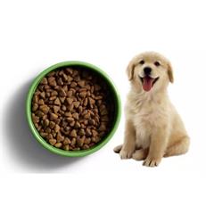 Brit Veterinary Diet Struvite Tahılsız İdrar Yolu Sağlığı Destekleyici Köpek Maması