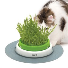 Catit Senses Grass Planter Kedi Çim Seti