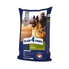 Club4Paws Premium Scout Medium/Large Breed Tavuklu Yetişkin Köpek Maması