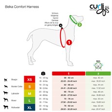 Curli Belka Comfort Harness Köpek Göğüs Tasması