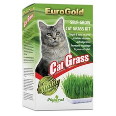 Euro Gold Cat Grass Kedi Çimi