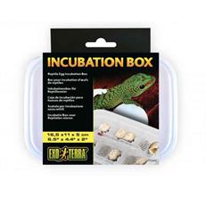 Exo Terra Incubation Sürüngen Box