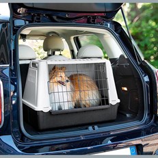 Feplast Atlas Car Mini Irk Araç İçi Köpek Taşıma Çantası