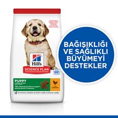 Hills Puppy Large Breed Tavuklu Büyük Irk Yavru Köpek Maması