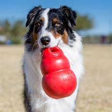 Kong Bounzer Zıplayan Yumuşak Köpek Oyuncak