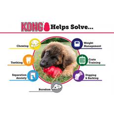 Kong Classic Ödül Hazneli Köpek Oyuncağı