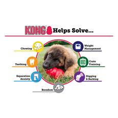 Kong Senior Kauçuk Yaşlı Köpek Oyuncağı