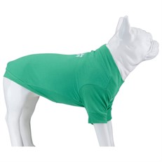 Lindo Dogs Make Today Amazing Köpek Kıyafeti Tshirt