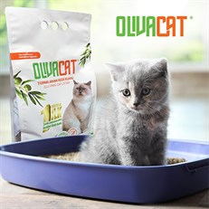 Olivacat Toz Bırakmayan Kokusuz Zeytin Çekirdeği Doğal Kedi Kumu