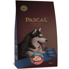 Pascal Adult Somonlu Yetişkin Köpek Maması