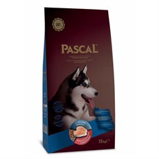 Pascal Adult Somonlu Yetişkin Köpek Maması