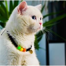 Pnx Pet Kedi Yüzü 3 Renk Kedi Künyesi