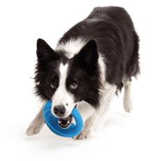 Rogz Toyz Pop-Upz Suda Batmayan Halka Plastik Köpek Oyuncağı Mavi