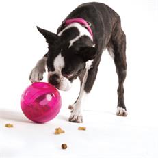 Rogz Toyz Tumbler Yavaş Besleme Ödül Hazneli Köpek Oyun Topu