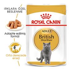 Royal Canin British Shorthair Adult Pouch Konserve Kedi Maması