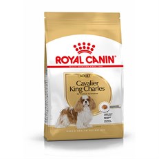 Royal Canin Cavalier King Charles Yetişkin Köpek Maması