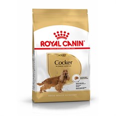 Royal Canin Cocker Adult Yetişkin Köpek Maması