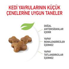 Royal Canin Kitten Yavru Kedi Maması