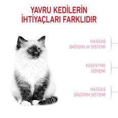 Royal Canin Kitten Yavru Kedi Maması