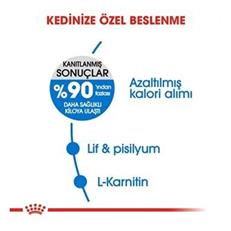 Royal Canin Light Weight Care Yetişkin Diyet Kedi Maması