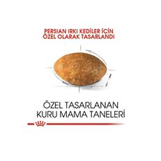 Royal Canin Persian Adult Yetişkin İran Kedisi Maması