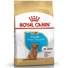 Royal Canin Poodle Junior Yavru Köpek Maması