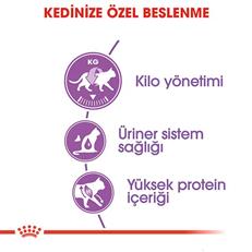 Royal Canin Sterilised Yetişkin Kısırlaştırılmış Kedi Maması